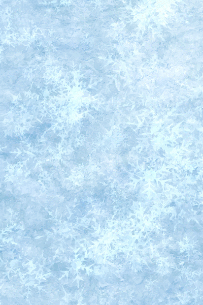 Winter Side Bar Image